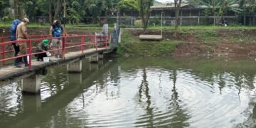 DLH Uji Sampel Air Situ Citongtut Buntut Matinya Ribuan Ikan