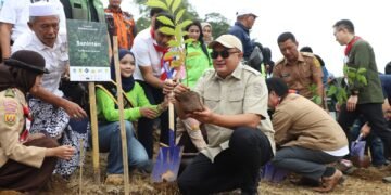 Bupati Komitmen Hijaukan Bogor Melalui Penanaman Pohon di Seluruh Wilayah