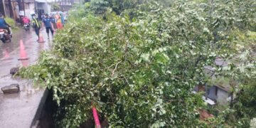 Bahu Jalan Raya Cilebut Longsor, Rumah Kosong Tertimbun 