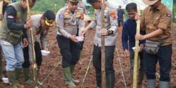 Kapolres Cianjur Pimpin Penanaman Jagung Serentak Dukung Program Ketahanan Pangan