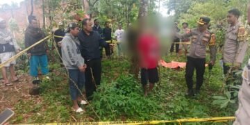 Buruh Tani Ditemukan Tewas Gantung Diri di Kebun Singkong Rumpin