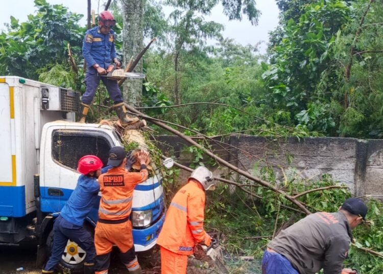 Pohon Tumbang Timpa Truk di Sindangrasa, BPBD Evakuasi 