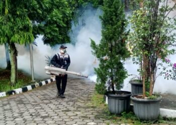 4 Warga Rumpin Terjangkit DBD, Dinkes Janjikan Fogging