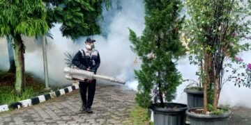 4 Warga Rumpin Terjangkit DBD, Dinkes Janjikan Fogging