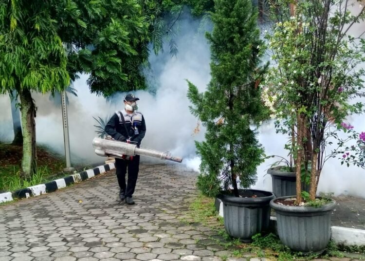 4 Warga Rumpin Terjangkit DBD, Dinkes Janjikan Fogging