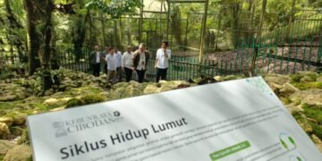 Kebun Raya Cibodas Resmikan Taman Lumut Terbesar di Indonesia di HUT ke-174