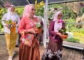 Intip Keindahan Kebun Anggrek Kartini di Taman Heulang 