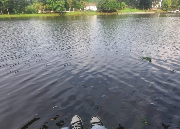 Usai Investigasi, Diskanak Sebut Puluhan Ikan Mati di Cibinong Situ Plaza Gegara Cuaca