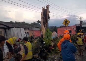 Pemotor Tewas Tertimpa Pohon Tumbang Saat Berteduh di Cugenang Cianjur