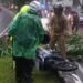 Pohon Tumbang di Jalan Tegar Beriman Timpa Pemotor hingga Tewas