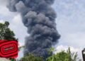 Peternakan di Ciseeng Kebakaran, 150 Ribu Ayam Mati Terpanggang