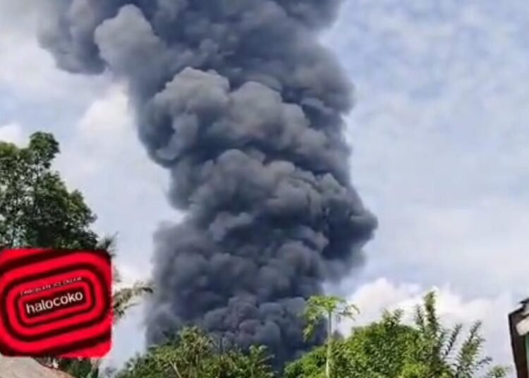 Peternakan di Ciseeng Kebakaran, 150 Ribu Ayam Mati Terpanggang