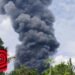 Peternakan di Ciseeng Kebakaran, 150 Ribu Ayam Mati Terpanggang