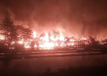 Korsleting Listrik Sebabkan Peternakan Ayam di Cariu Terbakar