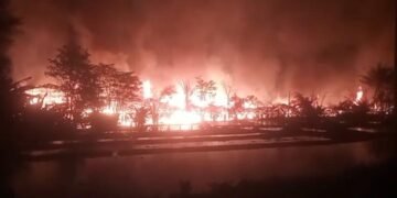 Korsleting Listrik Sebabkan Peternakan Ayam di Cariu Terbakar