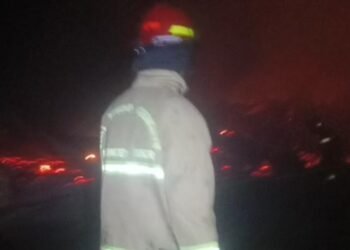 Kebakaran Peternakan di Cariu, 60 Ribu Ayam Terpanggang Kerugian Capai 6,5 Miliar