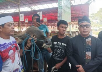 Cek Lapak di Bubulak, Pemkot Bogor Pastikan Kesehatan Hewan Kurban 