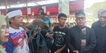 Cek Lapak di Bubulak, Pemkot Bogor Pastikan Kesehatan Hewan Kurban 