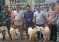 Jelang Iduladha, Kapalang Misteri Sebar 300 Hewan Kurban di Bogor