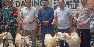 Jelang Iduladha, Kapalang Misteri Sebar 300 Hewan Kurban di Bogor
