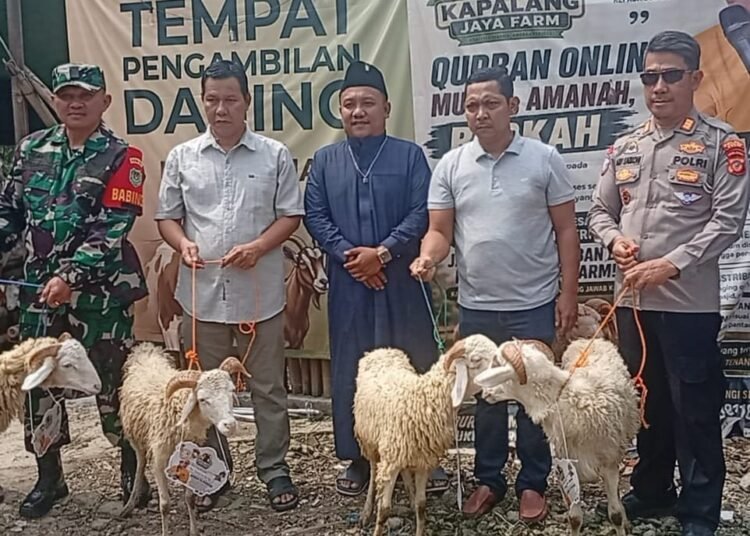 Jelang Iduladha, Kapalang Misteri Sebar 300 Hewan Kurban di Bogor