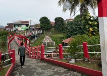 Pria Diduga Jatuh dari Jembatan di Panaragan Dievakuasi ke RS PMI