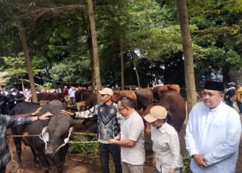 Diterima Bupati, Presiden Prabowo Bagikan 108 Hewan Kurban di Kabupaten Bogor 