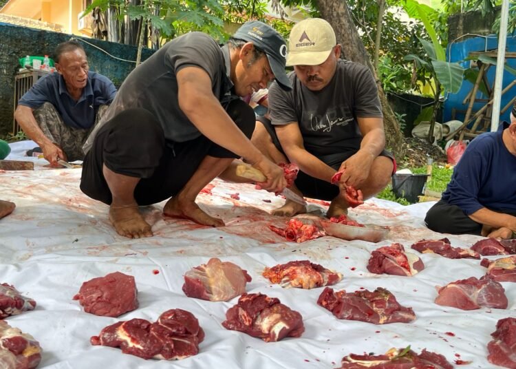 PWI Kota Bogor Perdana Sembelih Satu Ekor Sapi, Kang JM: Iduladha jadi Simbol Kolaborasi