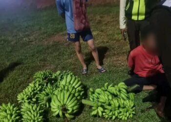 Terciduk Curi 5 Tandan Pisang, Pria di Cileungsi Diamankan Warga