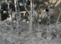 Kebocoran Bahan Baku Semen, Perusahaan Didesak Beri Kompensasi ke Warga Terdampak 