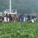 Polres Cianjur, Pemkab dan Pandawara Group Bersihkan Waduk Jangari dari Sampah dan Eceng Gondok