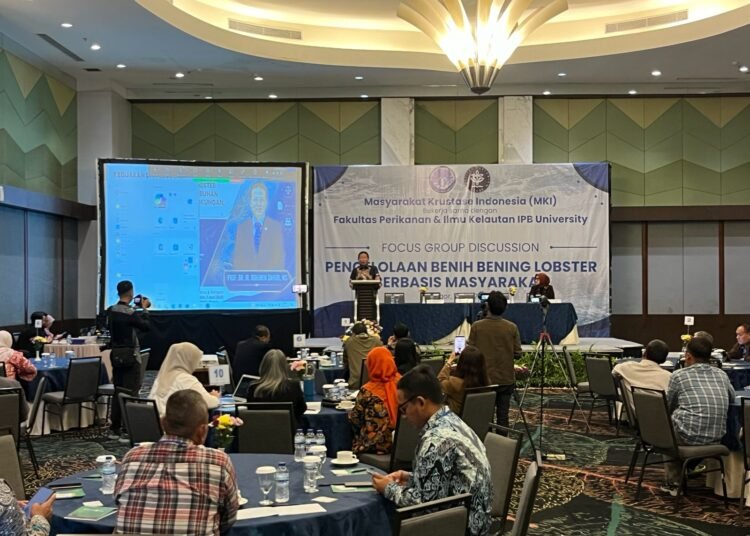 MKI dan IPB University Gelar FGD Pengelolaan Benih Bening Lobster Berbasis Masyarakat