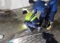 Masuk ke Dalam Garasi, King Kobra 4 Meter Bikin Warga Parungpanjang Khawatir