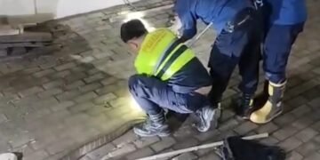 Masuk ke Dalam Garasi, King Kobra 4 Meter Bikin Warga Parungpanjang Khawatir