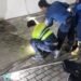 Masuk ke Dalam Garasi, King Kobra 4 Meter Bikin Warga Parungpanjang Khawatir