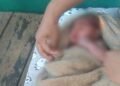 Diduga Dibuang, Bayi Perempuan Ditemukan di Semak-Semak Parung