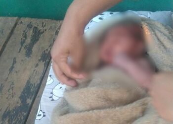 Diduga Dibuang, Bayi Perempuan Ditemukan di Semak-Semak Parung