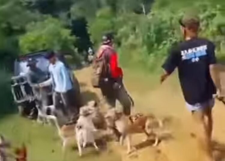 Bocah di Jasinga Tewas Diserang Anjing, Delapan Saksi Diperiksa 