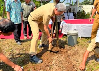 Peringati Hari Lingkungan Hidup Sedunia, Pemkot Bogor Tanam 544 Pohon  