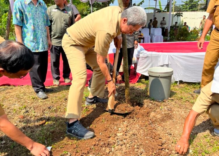 Peringati Hari Lingkungan Hidup Sedunia, Pemkot Bogor Tanam 544 Pohon  