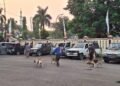 Polisi Dalami Potensi Tersangka Lain pada Kasus Bocah Tewas Diserang Anjing di Jasinga