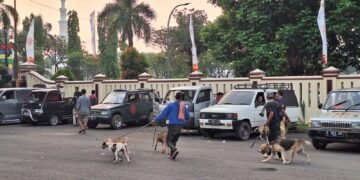 Polisi Dalami Potensi Tersangka Lain pada Kasus Bocah Tewas Diserang Anjing di Jasinga