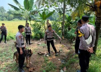 Pasca Bocah Tewas di Jasinga, Belasan Anjing Dikabarkan Masih Berkeliaran