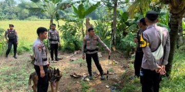 Pasca Bocah Tewas di Jasinga, Belasan Anjing Dikabarkan Masih Berkeliaran