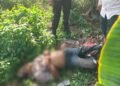 Diduga Sakit, Seorang Pria Ditemukan Tak Bernyawa di Semak-Semak Cileungsi