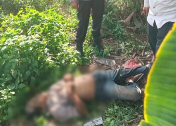 Pria Tanpa Identitas Ditemukan Tak Bernyawa di Semak-Semak Cileungsi