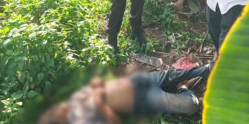 Diduga Sakit, Seorang Pria Ditemukan Tak Bernyawa di Semak-Semak Cileungsi