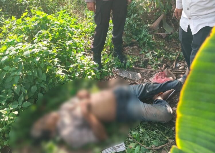 Pria Tanpa Identitas Ditemukan Tak Bernyawa di Semak-Semak Cileungsi
