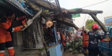 BPBD Evakuasi Pohon Tumbang yang Timpa Kios dan Angkot di Kedunghalang