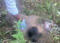 Ditemukan di Area Perumahan, Polisi Dalami Kasus Tewasnya Mahasiswa di Ciseeng